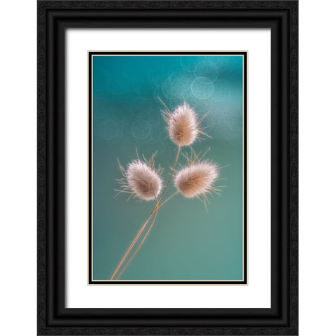 Ribbit Tails Black Ornate Wood Framed Art Print with Double Matting by Jacobs, Lydia