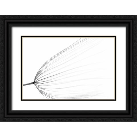 The Big Minimal Black Ornate Wood Framed Art Print with Double Matting by Terravecchia, Rino