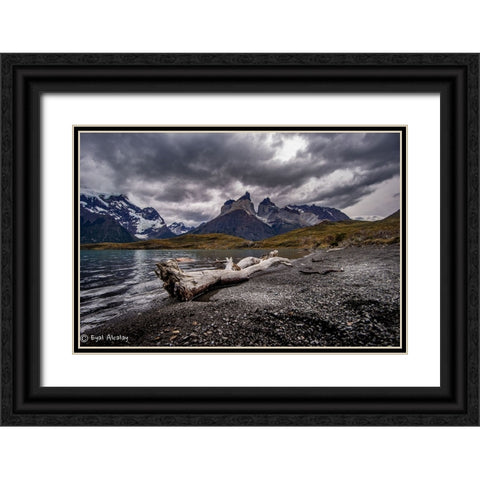 Torres Del Pine Black Ornate Wood Framed Art Print with Double Matting by Alcalay, Eyal