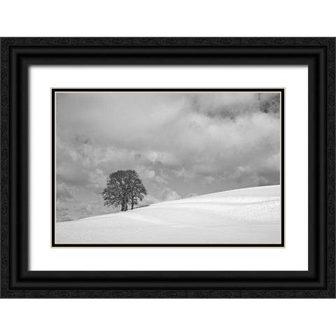A cloudy winter day Black Ornate Wood Framed Art Print with Double Matting by Peter Rank, Hans