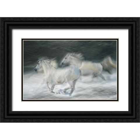 Gallop In A Duel Black Ornate Wood Framed Art Print with Double Matting by Malovrh, Milan