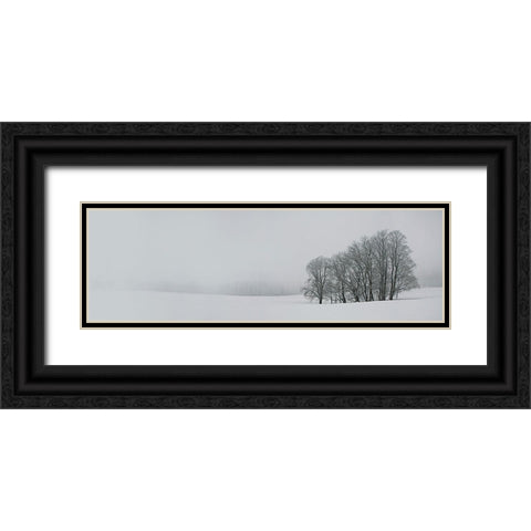 Albhochflaeche Black Ornate Wood Framed Art Print with Double Matting by Schumacher, Nicolas