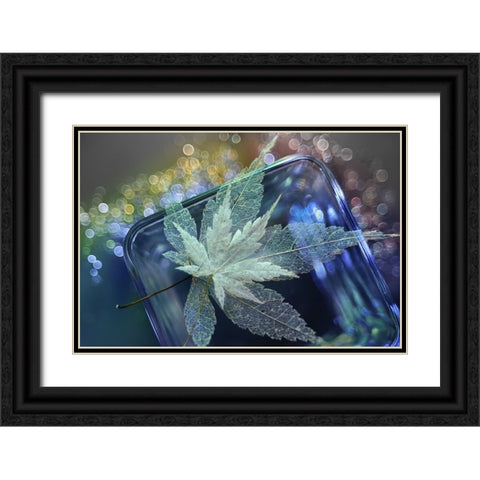 Pieces Of Beautiful Memories Black Ornate Wood Framed Art Print with Double Matting by Kowatari, Shihya