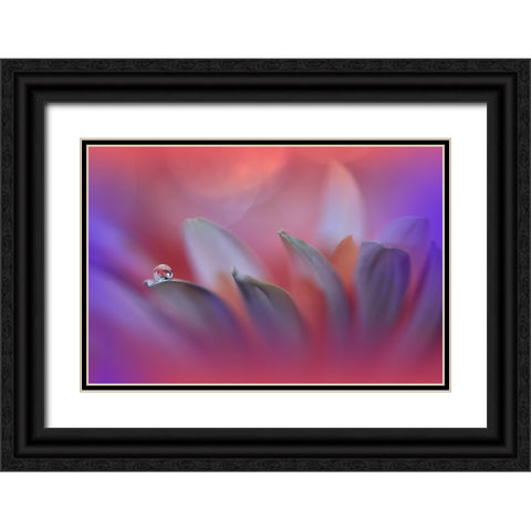 Blossoming Heart.. Black Ornate Wood Framed Art Print with Double Matting by Nan, Juliana