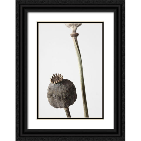 Dried_005 Black Ornate Wood Framed Art Print with Double Matting by 1x Studio III
