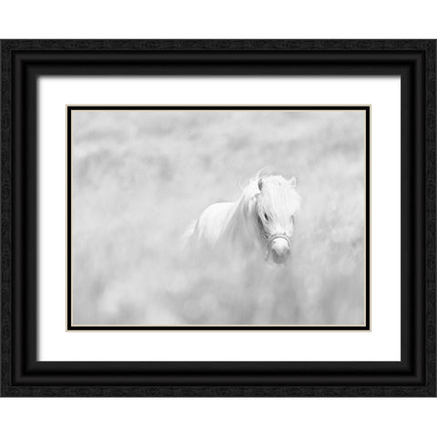 White Horse Black Ornate Wood Framed Art Print with Double Matting by Paritskiy, Oles