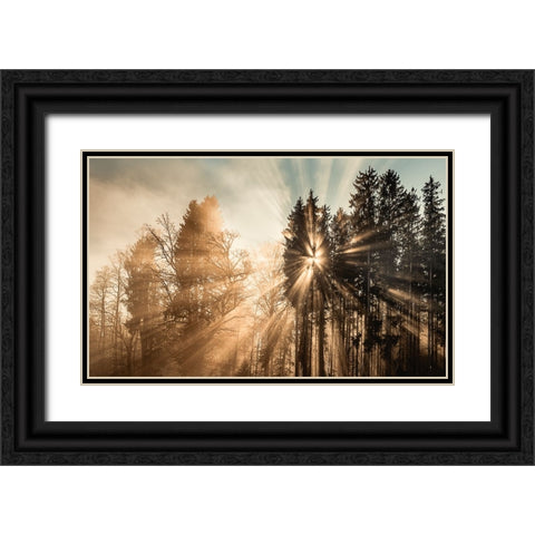 Fading away Black Ornate Wood Framed Art Print with Double Matting by Eisenmann, Ulrike