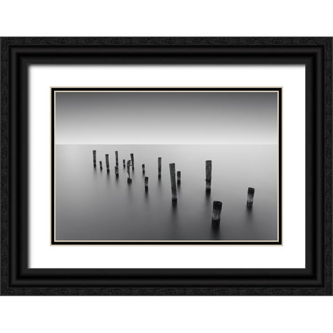 Invisible Links Black Ornate Wood Framed Art Print with Double Matting by Massera, Dante