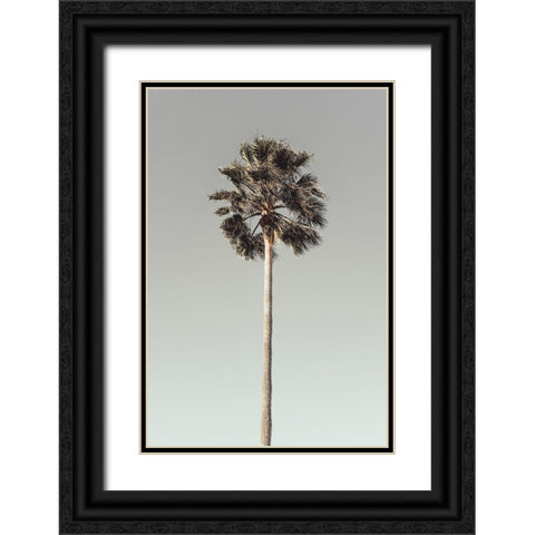 Palm_001 Black Ornate Wood Framed Art Print with Double Matting by 1x Studio III
