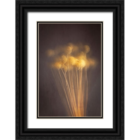 Curious Heads Black Ornate Wood Framed Art Print with Double Matting by Kiral, Cicek