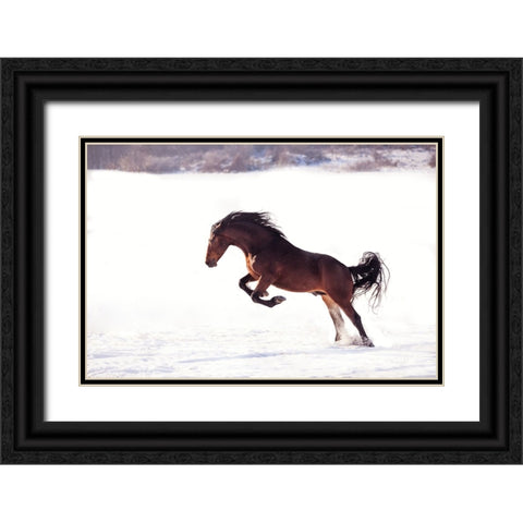 735W 2 Black Ornate Wood Framed Art Print with Double Matting by Bogdan R, Mihai