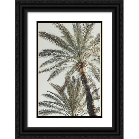 Palm_005 Black Ornate Wood Framed Art Print with Double Matting by 1x Studio III