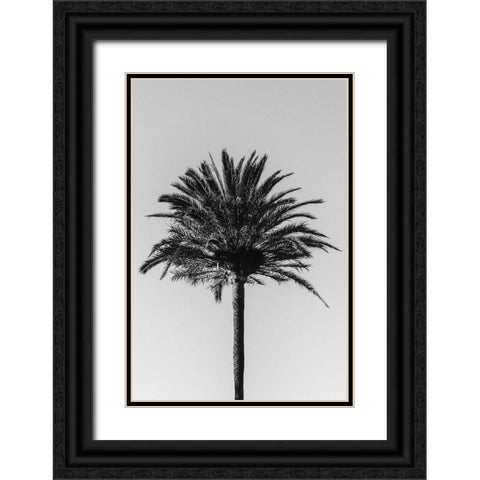 Palm_003 Black Ornate Wood Framed Art Print with Double Matting by 1x Studio III