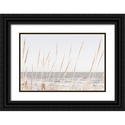 Beach_Vass_002 Black Ornate Wood Framed Art Print with Double Matting by 1x Studio III