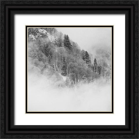 the foggy mountain Black Ornate Wood Framed Art Print with Double Matting by Wasinger, Renate