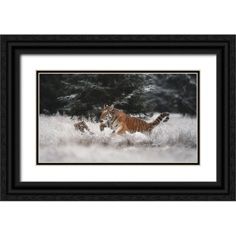 Joy On The Snow Black Ornate Wood Framed Art Print with Double Matting by Firesova, Michaela