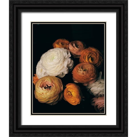 Ranunculus Black Ornate Wood Framed Art Print with Double Matting by FiguraNYC Photography