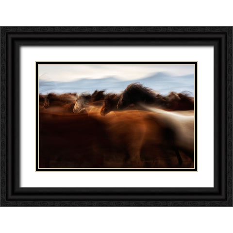 The Spirit Of Freedom Black Ornate Wood Framed Art Print with Double Matting by Turkmen, Timur
