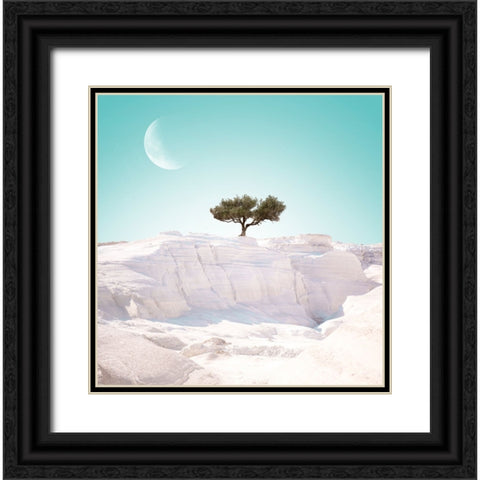 Alien Island. part 4 Black Ornate Wood Framed Art Print with Double Matting by Frey, Eva
