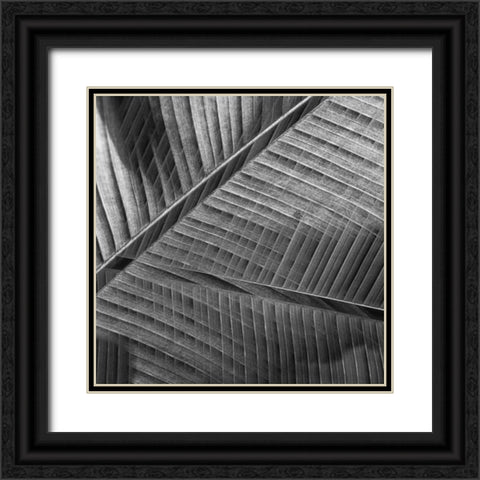 Banana lattice. Black Ornate Wood Framed Art Print with Double Matting by Ciappara Lrps., Simon