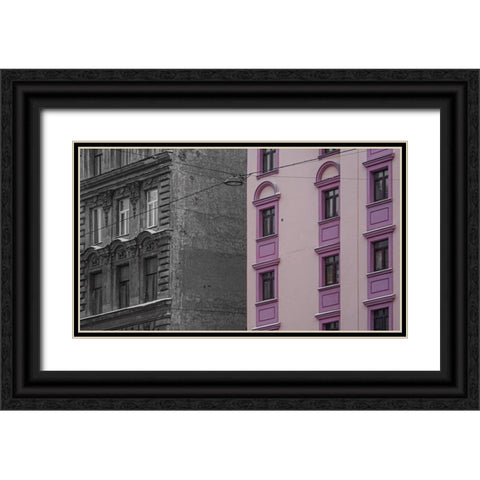 BlackaPink Black Ornate Wood Framed Art Print with Double Matting by Grytsiv, Yuriy