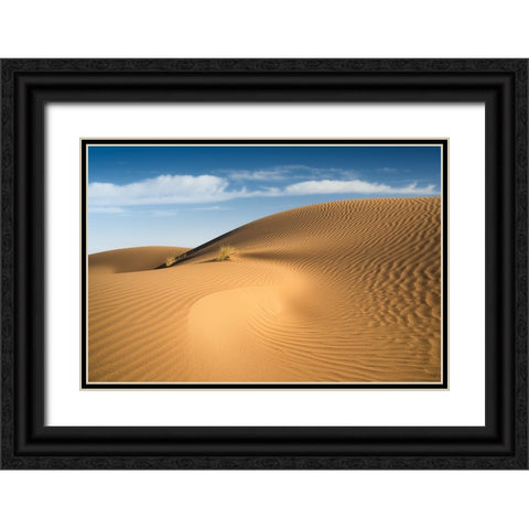 Curves Black Ornate Wood Framed Art Print with Double Matting by Babaei, Hosein