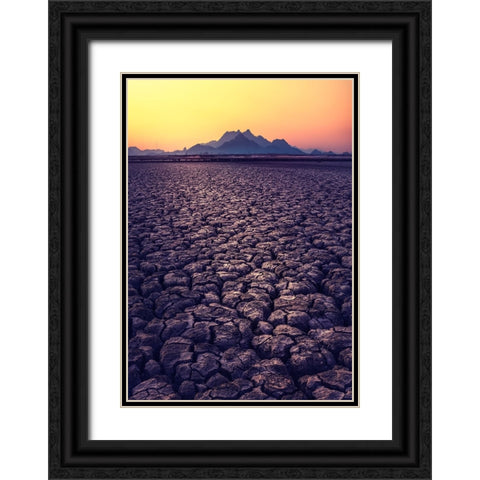 Thirst Black Ornate Wood Framed Art Print with Double Matting by Seo, Tiger