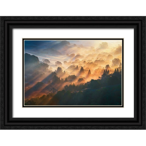 Morning Light Black Ornate Wood Framed Art Print with Double Matting by Li, Ryan