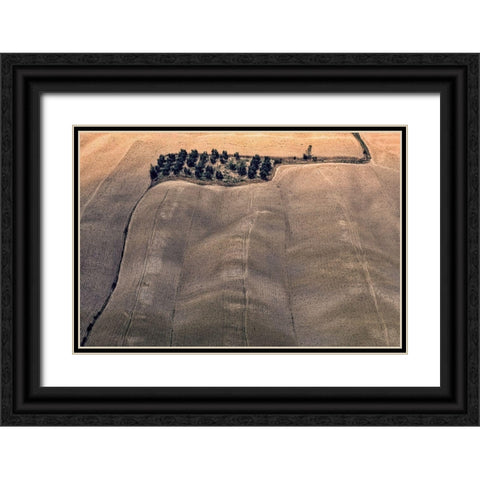 Oasis Black Ornate Wood Framed Art Print with Double Matting by Kravanja, Jure