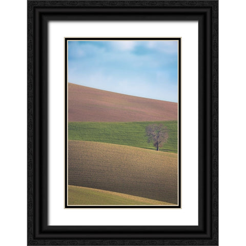 S.T. 025 Black Ornate Wood Framed Art Print with Double Matting by Gray, Dorian