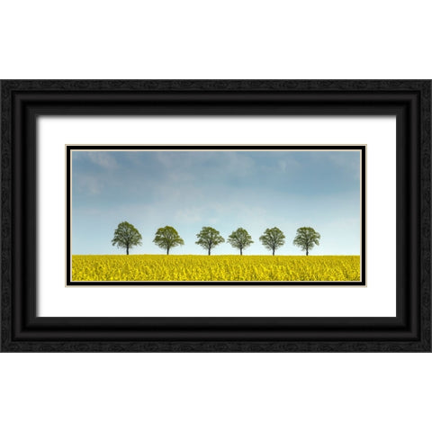 rape Black Ornate Wood Framed Art Print with Double Matting by Uhlig, Dieter