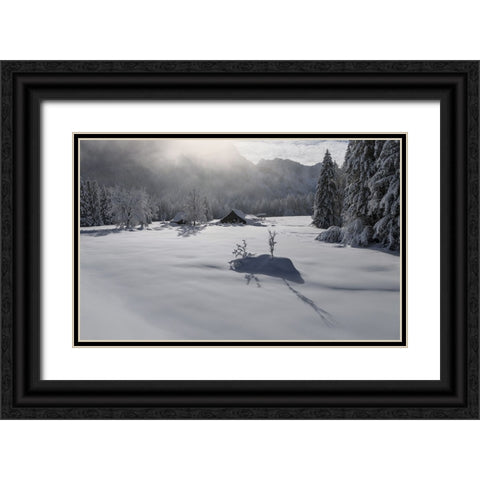 Misty morning Black Ornate Wood Framed Art Print with Double Matting by Krivec, Ales