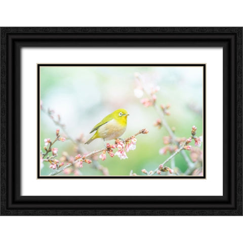 The Arrival of Spring Black Ornate Wood Framed Art Print with Double Matting by Suzuki, Takashi