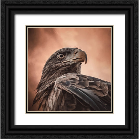 And His Eyes Saw Everything.... Black Ornate Wood Framed Art Print with Double Matting by Worseling, Natascha