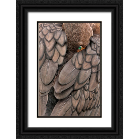 An Emerald With Diamonds Black Ornate Wood Framed Art Print with Double Matting by Marques, Amy