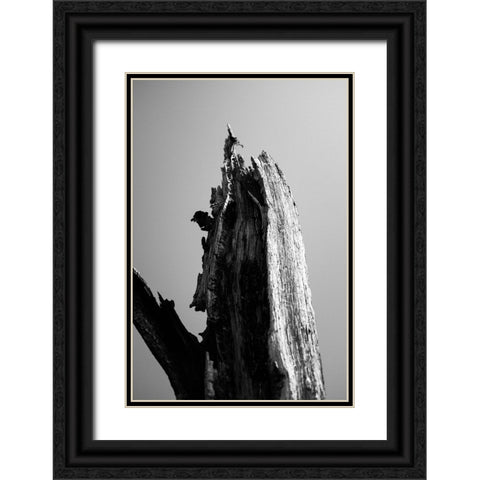 Wetlands 1 Black Ornate Wood Framed Art Print with Double Matting by Perry, Lewis