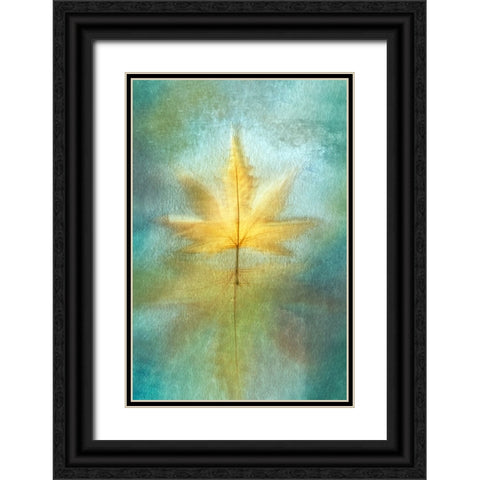 Reflections Black Ornate Wood Framed Art Print with Double Matting by Kiral, Cicek