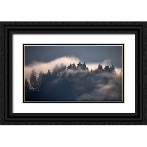 Black Forest I Black Ornate Wood Framed Art Print with Double Matting by Schade, Peter