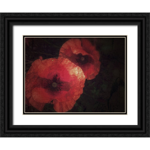 Blood thirsty Poppies Black Ornate Wood Framed Art Print with Double Matting by Margau, Delphine