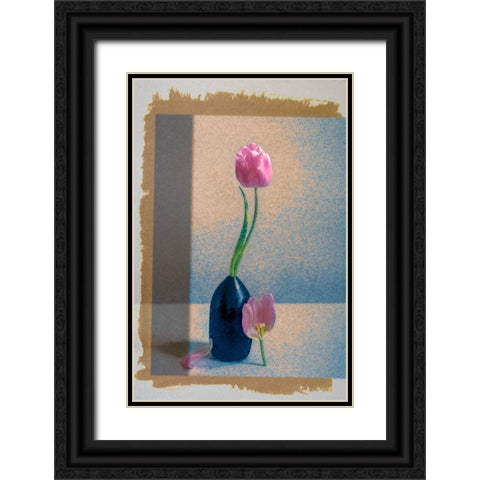 A Study in Contrast Black Ornate Wood Framed Art Print with Double Matting by Ni, Birdie