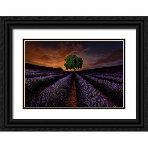 Untitled Black Ornate Wood Framed Art Print with Double Matting by Vega Toledano, Cesar