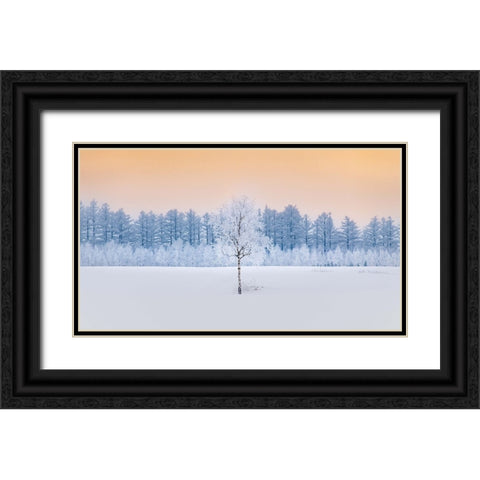 Guardian of the Angel Forest Black Ornate Wood Framed Art Print with Double Matting by Sono, Hidenori