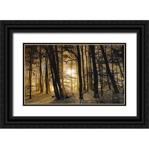 Winter Morning Black Ornate Wood Framed Art Print with Double Matting by Maier, Norbert