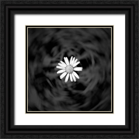 Alpine meadow discovery Black Ornate Wood Framed Art Print with Double Matting by Winkler, Jens