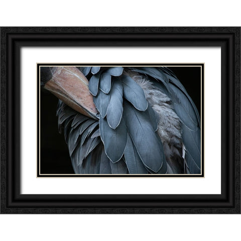 Feather Black Ornate Wood Framed Art Print with Double Matting by Aoki, Juri