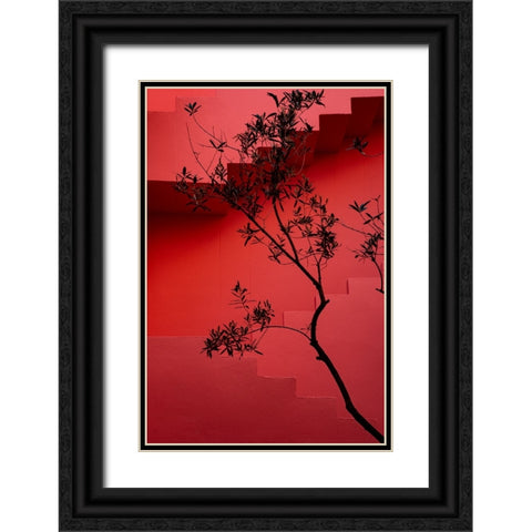 Muralla Roja #14 Black Ornate Wood Framed Art Print with Double Matting by Wride, Linda