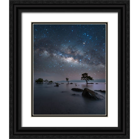 Chidiya Tapu Black Ornate Wood Framed Art Print with Double Matting by Chander, Vikas