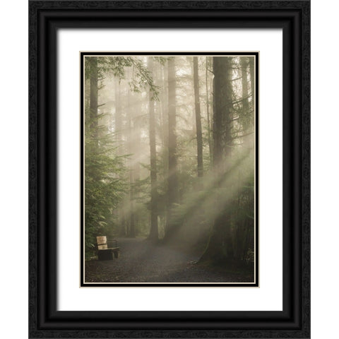 Untitled Black Ornate Wood Framed Art Print with Double Matting by Saito, Misaki