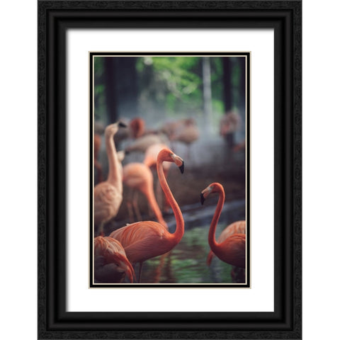 Flamingo Black Ornate Wood Framed Art Print with Double Matting by Dayvee