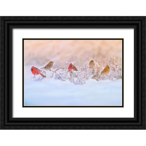 Snowy Morning  Party Black Ornate Wood Framed Art Print with Double Matting by Lu, Ling